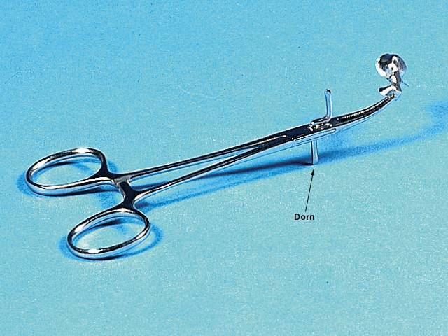 <strong>Hager & Werken Skalpell-Ex / Pin-Clipper</strong><br>Spezialpinzette mit Doppelfunktion