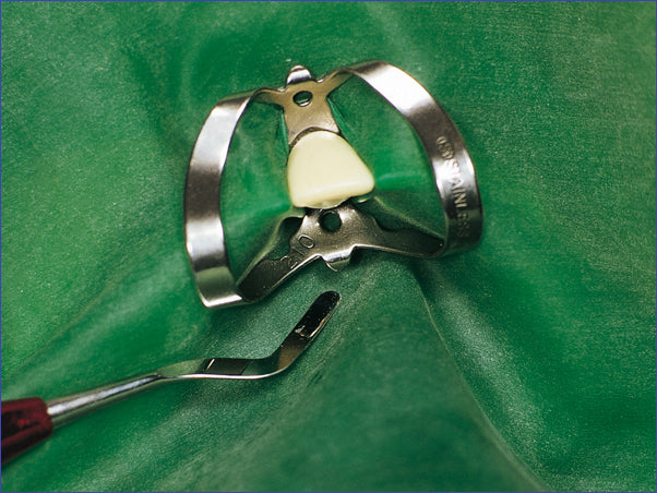 Grüner, einseitig gepuderter Fit-Kofferdam Latex von Hager & Werken im Format 15 × 15 cm, erhältlich in Medium und Heavy